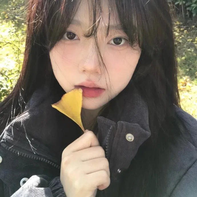 孤叶三娇TV版